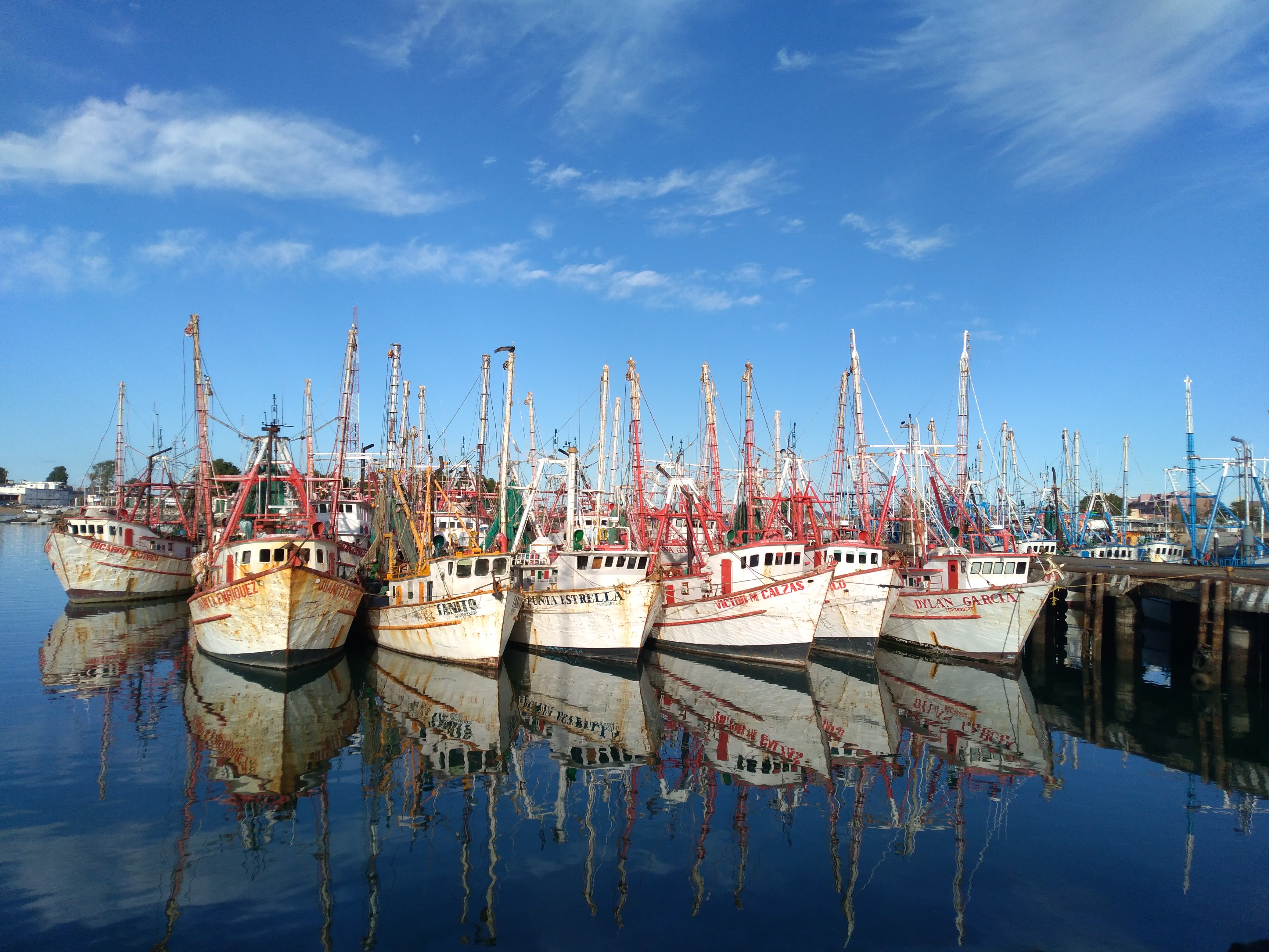 Puerto pesquero y embarcaciones reales de Puerto Peñasco