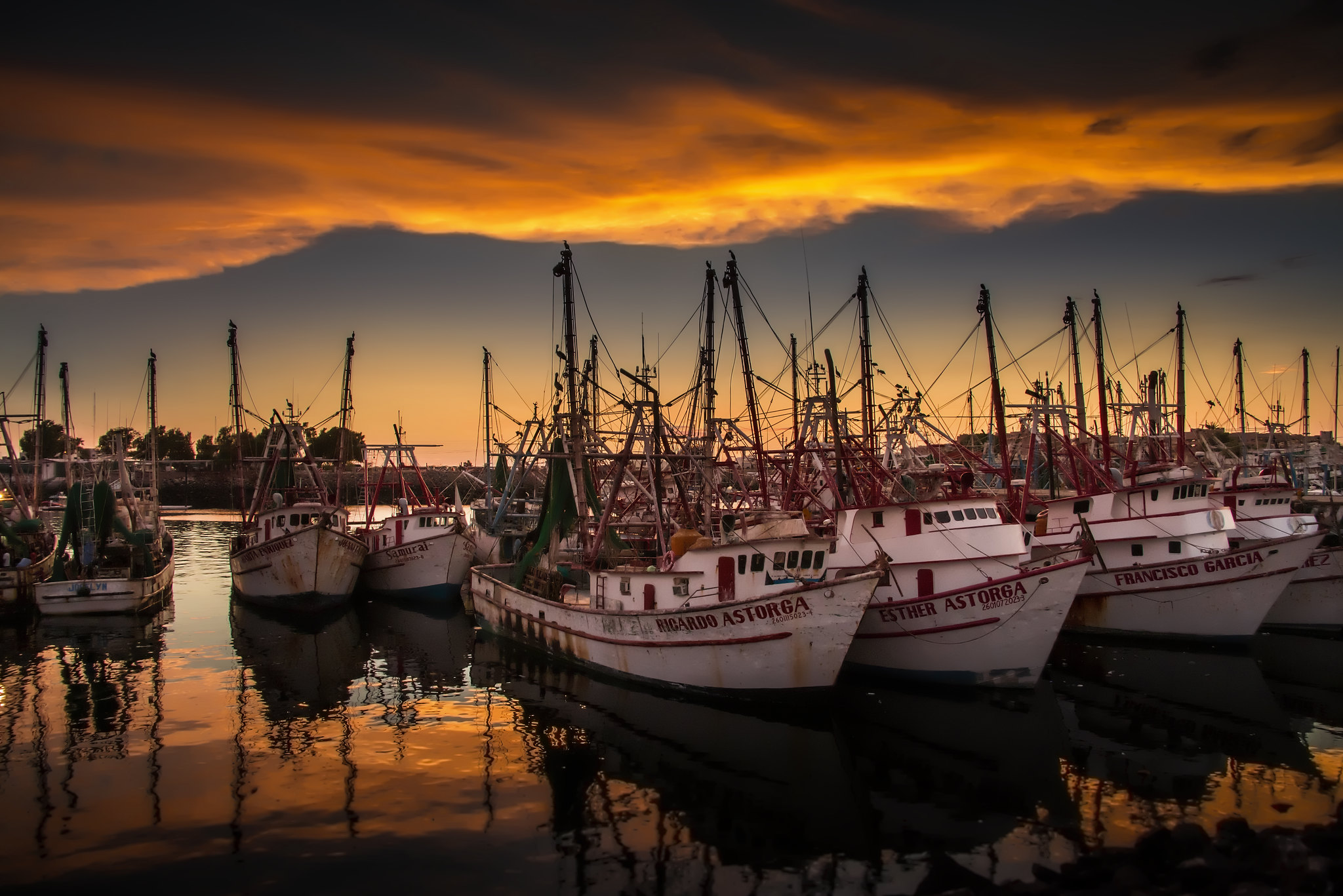 Embarcaciones pesqueras en el puerto de Puerto Peñasco al atardecer