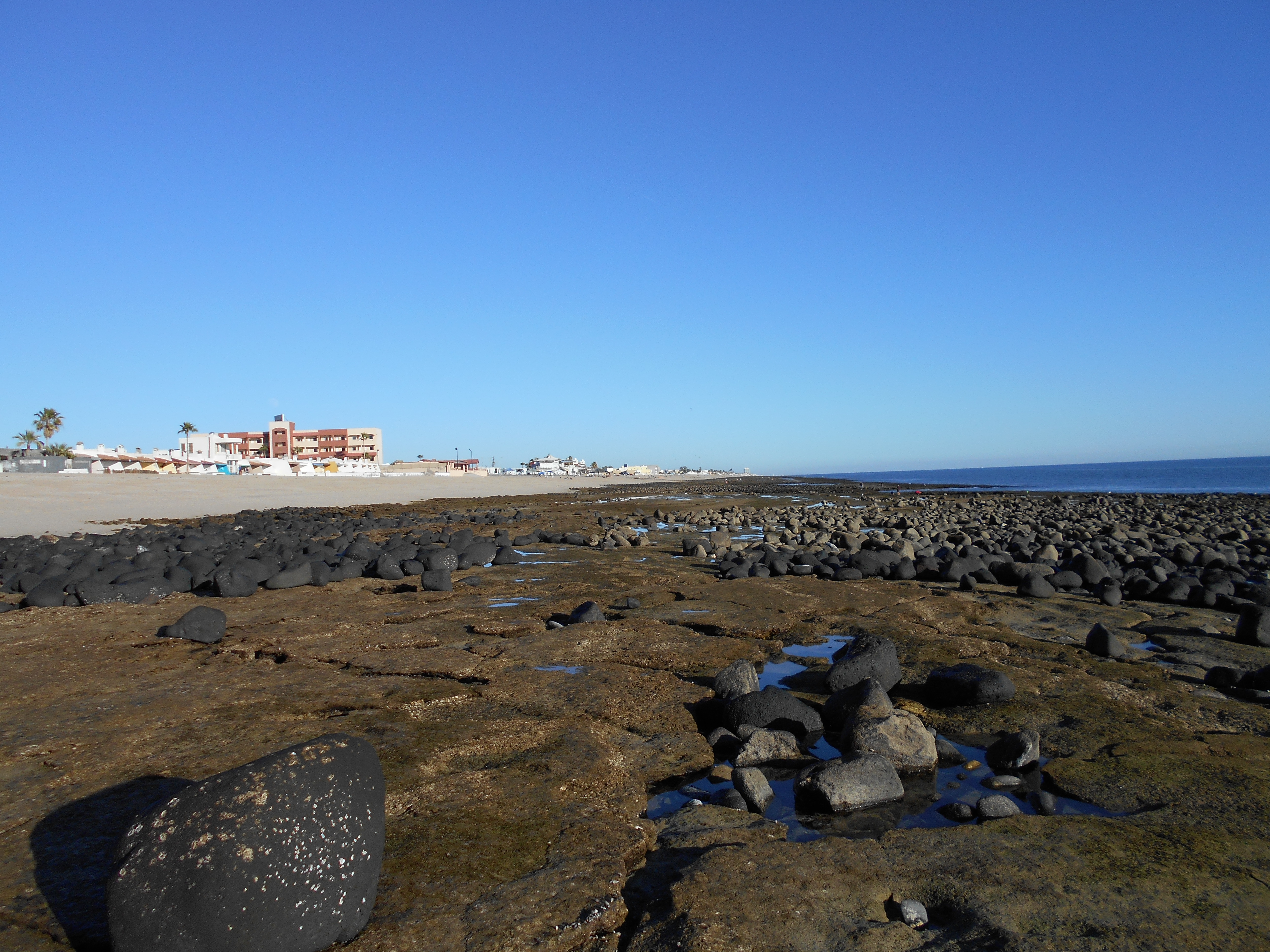 Rocky shoreline at low tide in Puerto Peñasco
