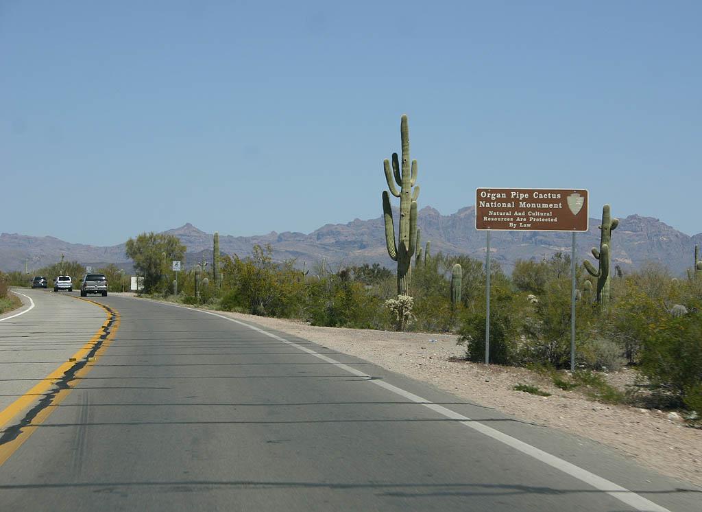 Arizona State Route 85 through Organ Pipe Cactus National Monument on the drive from Phoenix to Rocky Point