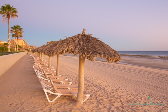 Beach palapas and lounge chairs