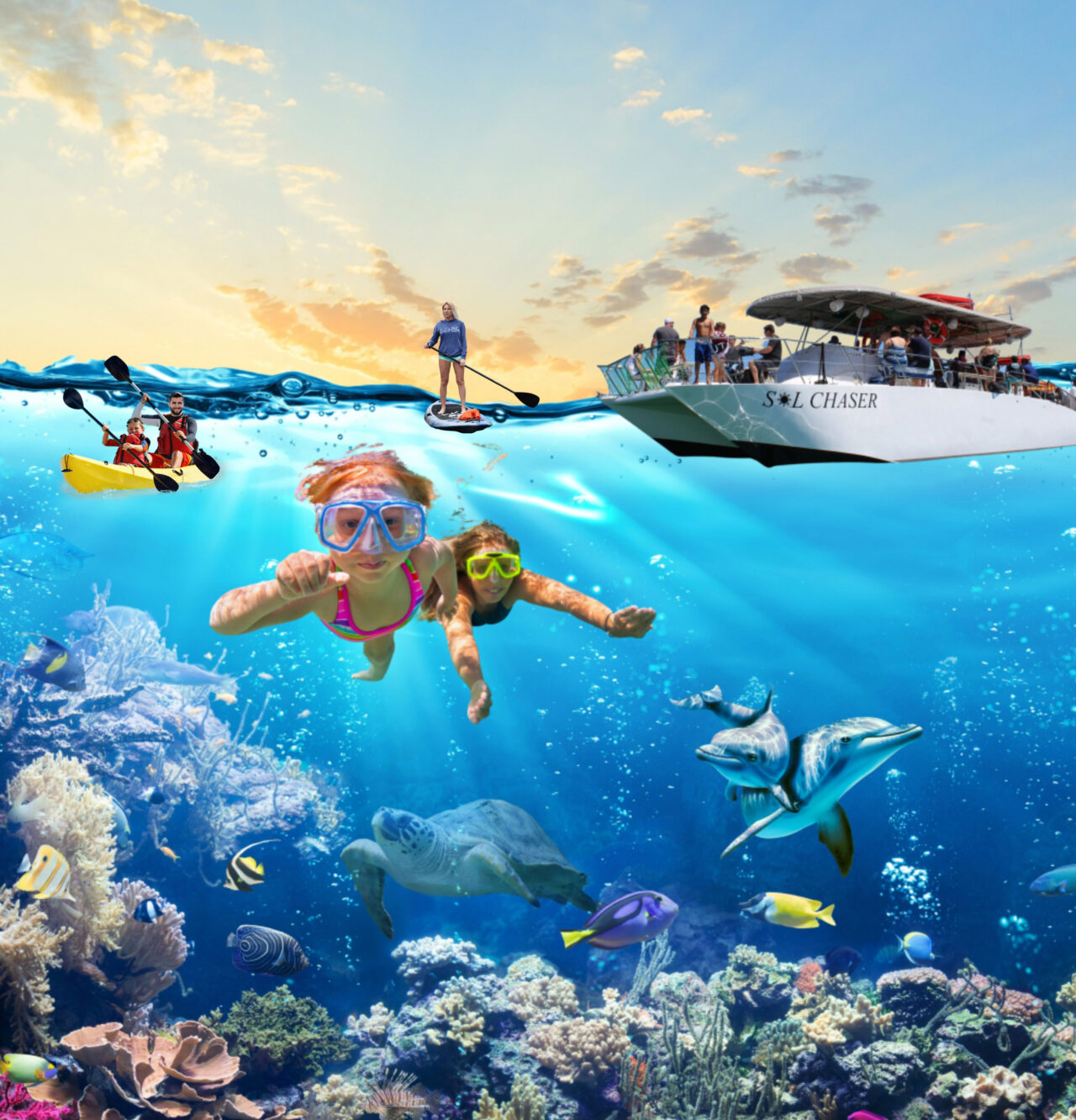 Exploring the Sea of Cortes: A Must-Do Activity When Visiting Puerto Penasco