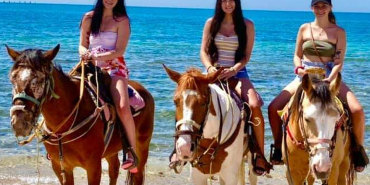 Horse Back Riding
