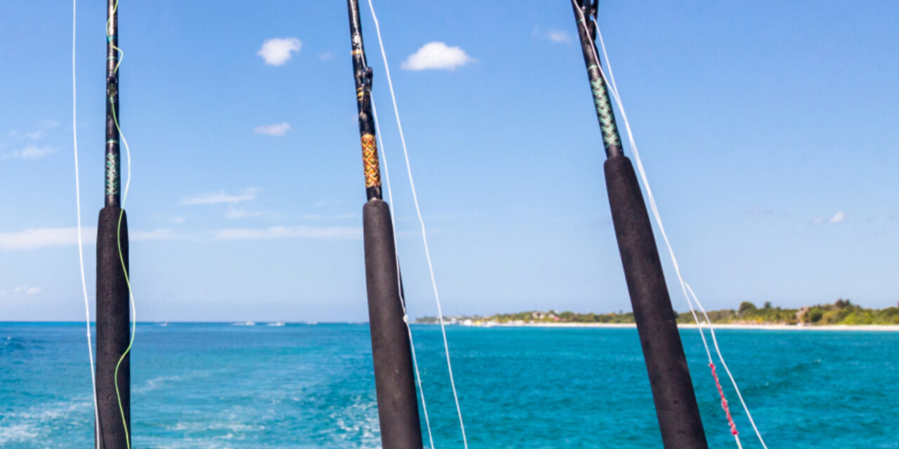 Deep Sea Fishing